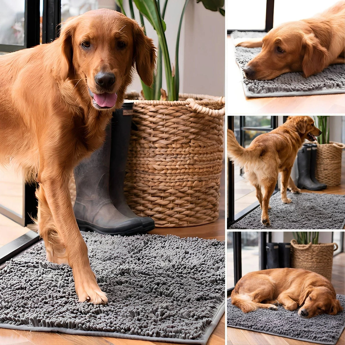 Dog Door Mat Absorbent Non-Slip Backing