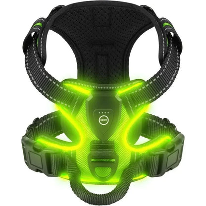 Dog Harness Rechargeable LED Lights Adjustable Padded Fit