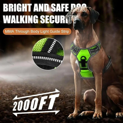 Dog Harness Rechargeable LED Lights Adjustable Padded Fit