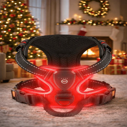 Dog Harness Rechargeable LED Lights Adjustable Padded Fit