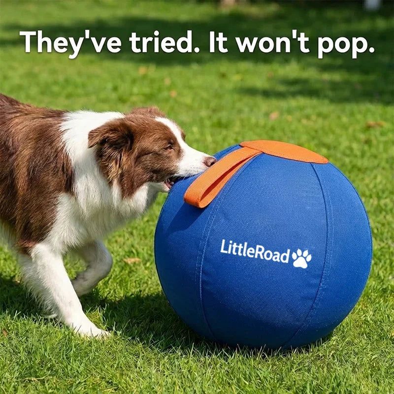 Dog Herding Ball Puncture-Resistant Cover Pump Included