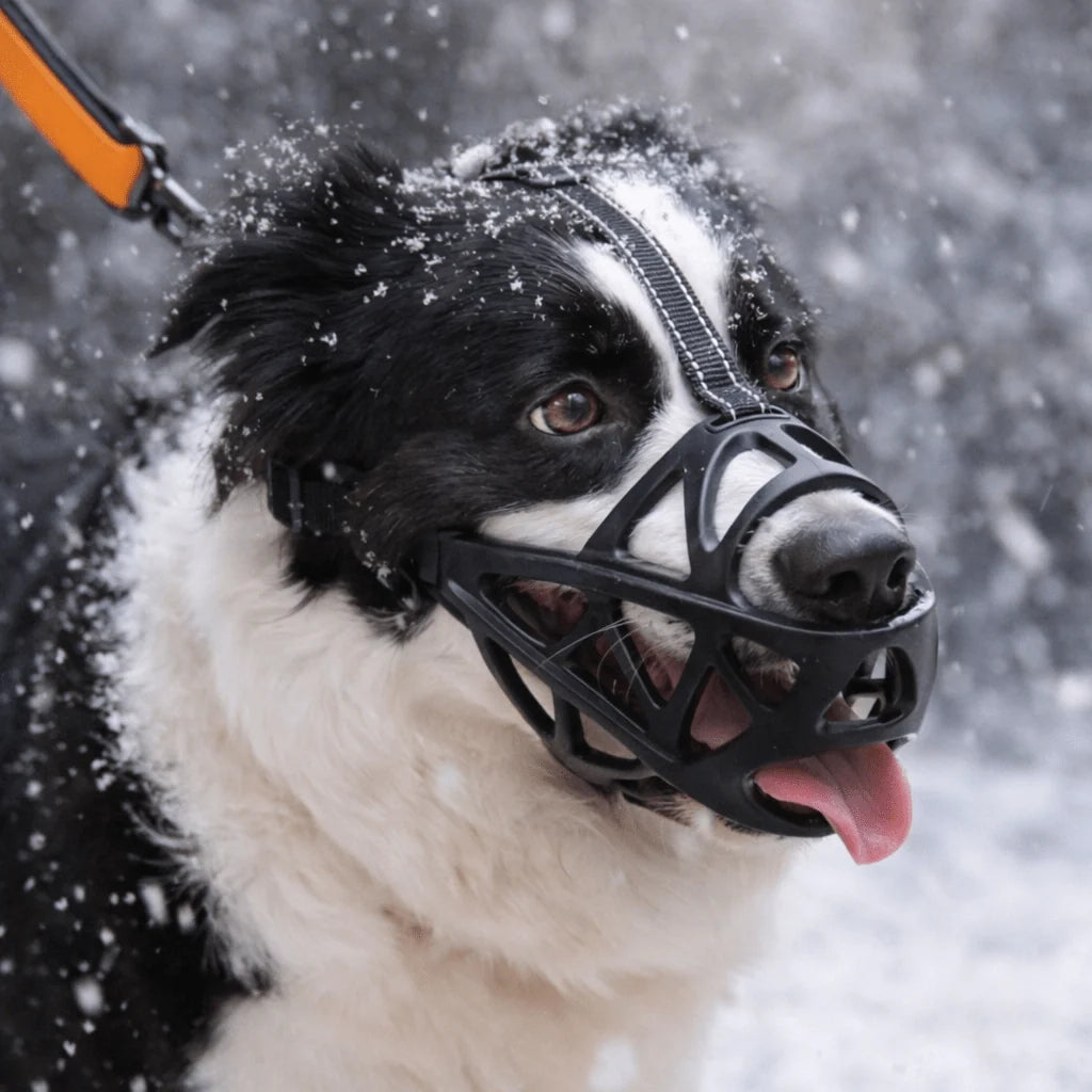 Dog Muzzle Soft Breathable Lightweight Fit