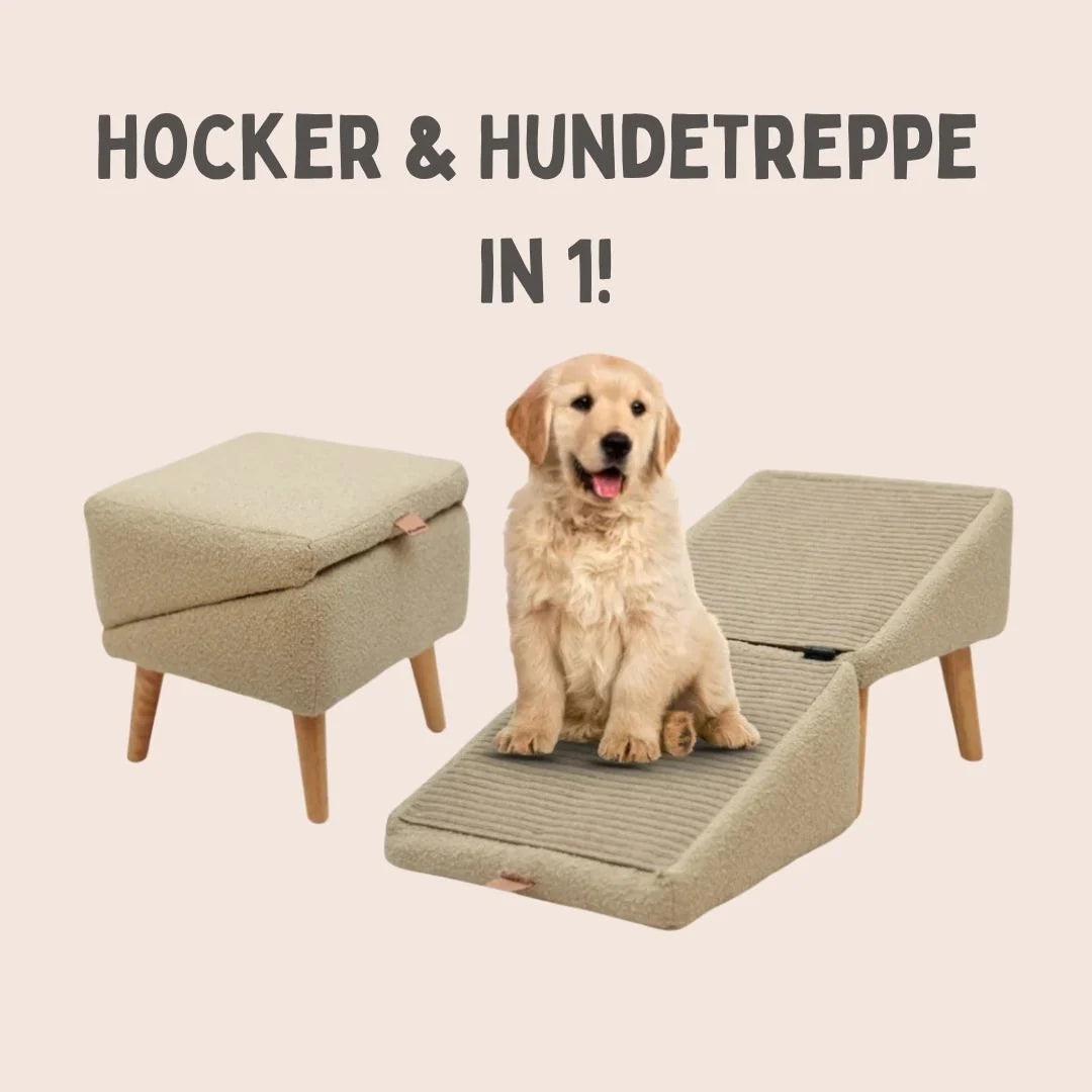 Dog Ramp for Bed & Sofa Non-Slip Padded Stool