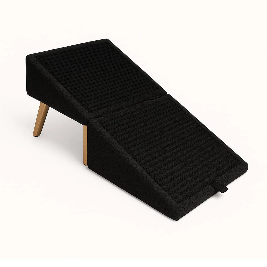 Dog Ramp for Bed & Sofa Non-Slip Padded Stool