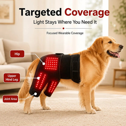 Dog Red Light Therapy Wrap Hands-Free Adjustable 660nm & 850nm Near-Infrared Lights