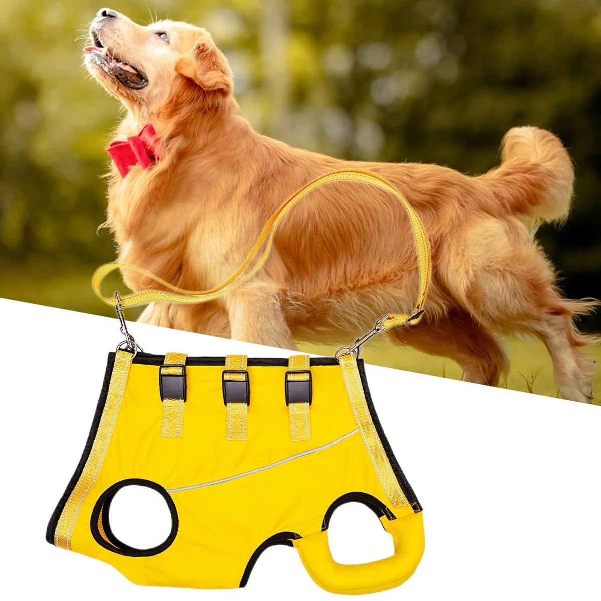 Dog Rehabilitation Harness Adjustable Hind Leg Support Breathable Mesh