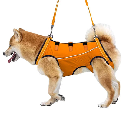 Dog Rehabilitation Harness Adjustable Hind Leg Support Breathable Mesh