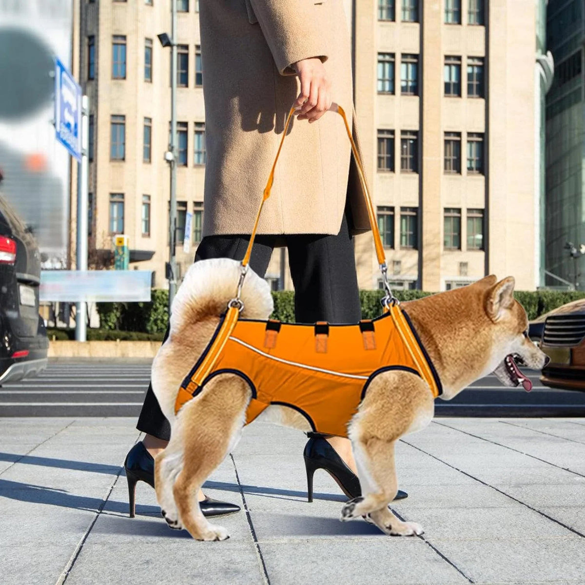 Dog Rehabilitation Harness Adjustable Hind Leg Support Breathable Mesh