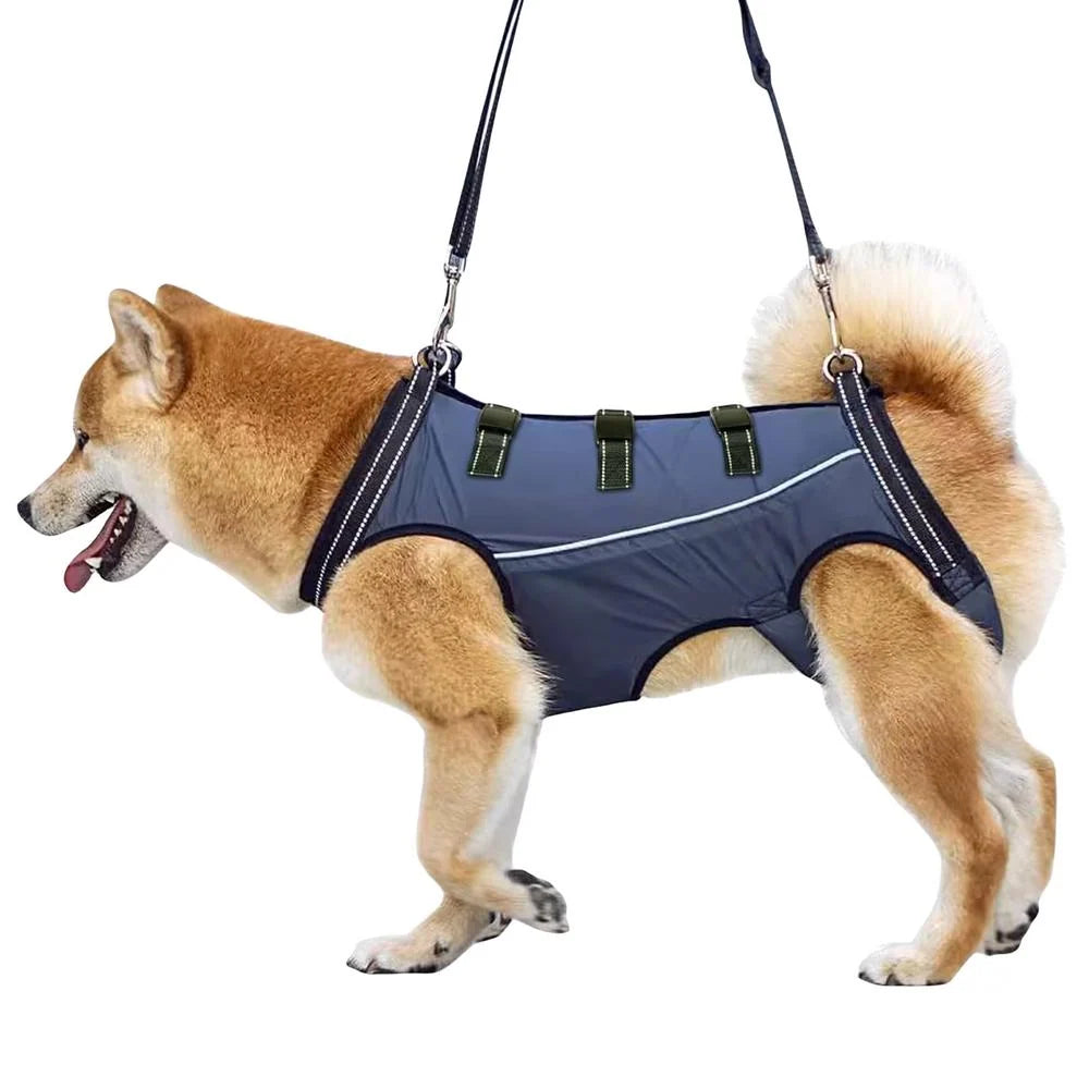 Dog Rehabilitation Harness Adjustable Hind Leg Support Breathable Mesh