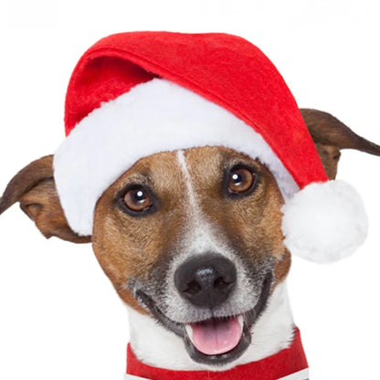 Dog Santa Hat Soft Plush Adjustable Fit