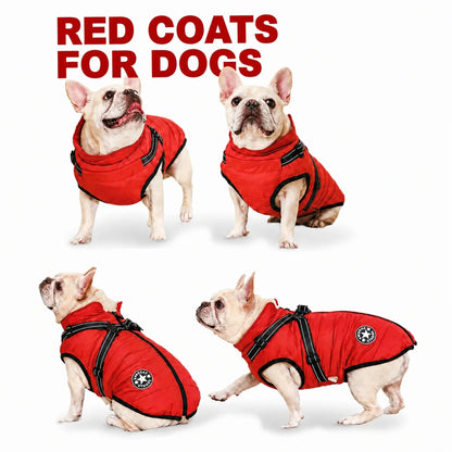 Dog Winter Coat Waterproof Windproof Built-In Harness Fleece-Lined