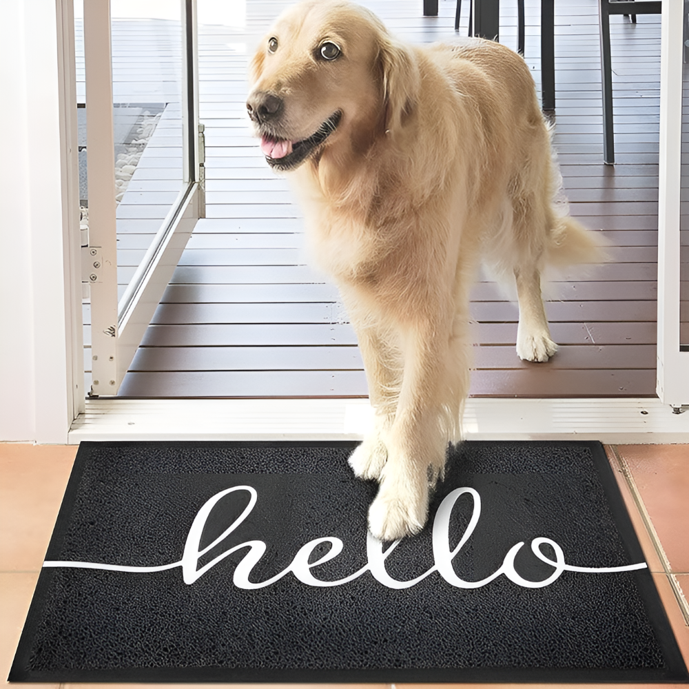 Door Mat Low-Profile Dirt-Trapping Non-Slip Rubber Backing