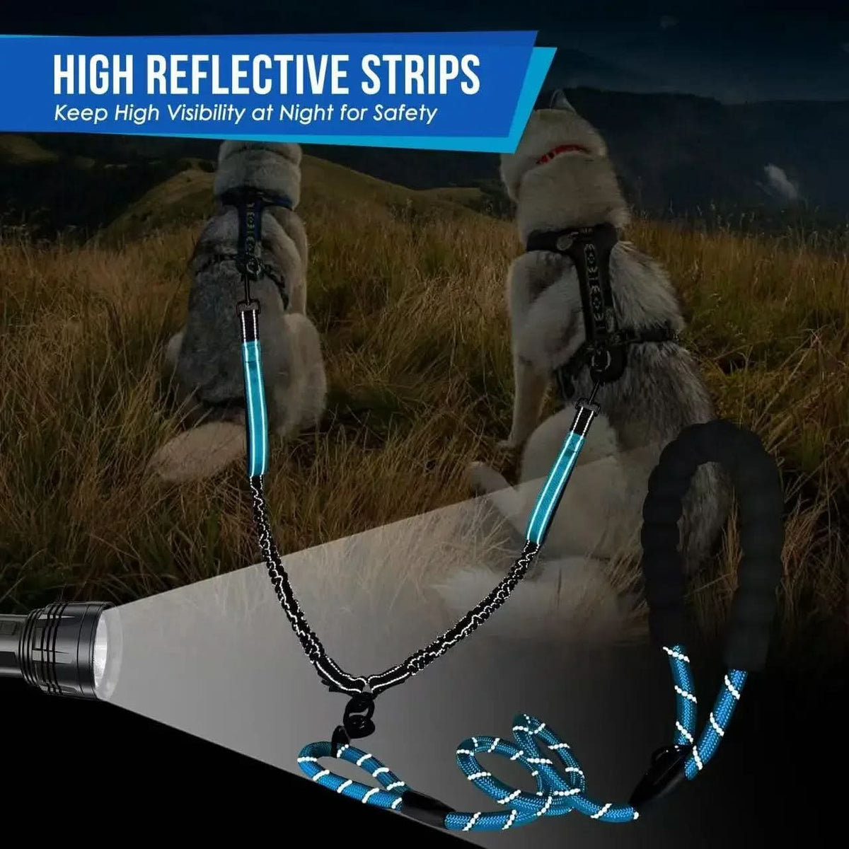 Double Dog Leash 360° Swivel Shock-Absorbing Design