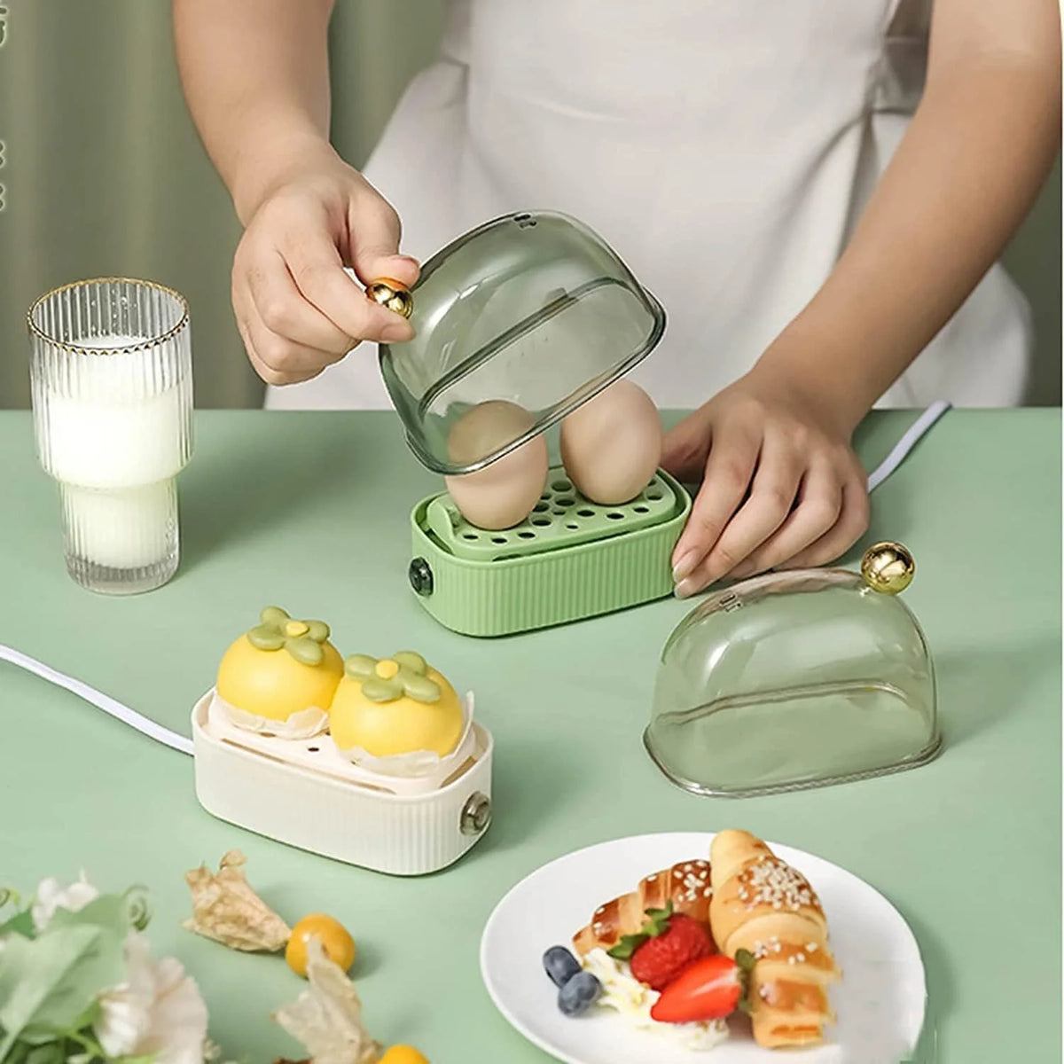 Electric Egg Cooker Boil & Poach 2-Egg Capacity