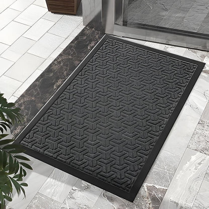 Entryway Door Mat Dirt-Trapping Fibers & Non-Slip Backing
