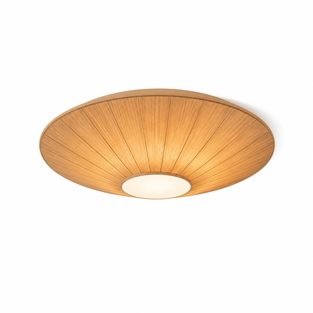 Flush Mount Ceiling Light Dimmable LED Low Profile