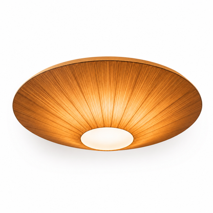 Flush Mount Ceiling Light Dimmable LED Low Profile