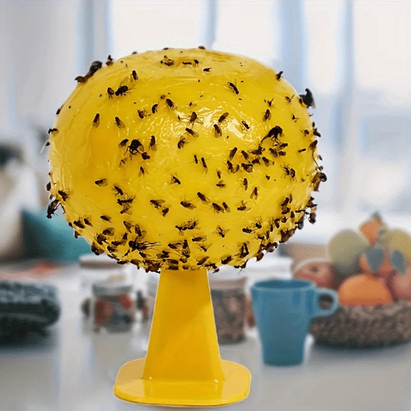 Fly & Fruit Fly Trap Battery Free Reusable