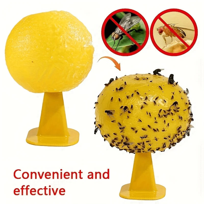Fly & Fruit Fly Trap Battery Free Reusable