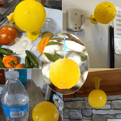 Fly & Fruit Fly Trap Battery Free Reusable
