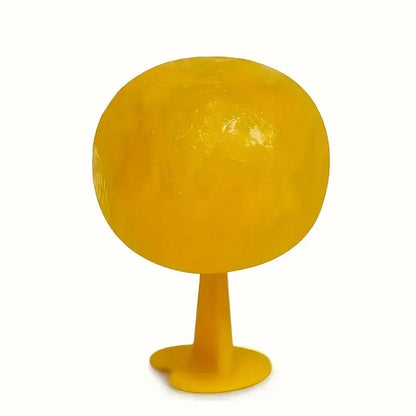 Fly & Fruit Fly Trap Battery Free Reusable