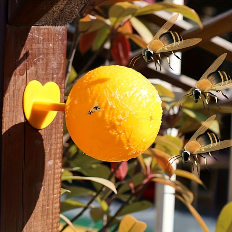 Fruit Fly Traps Sticky Ball Set of 3 Chemical‑Free