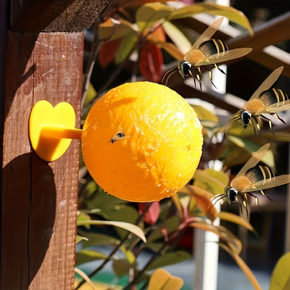 Fruit Fly Traps Sticky Ball Set of 3 Chemical‑Free