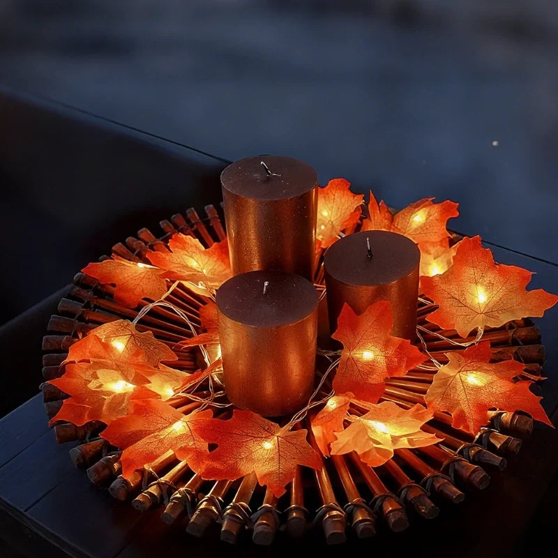 Garland Lights Warm White Solar or Battery Powered