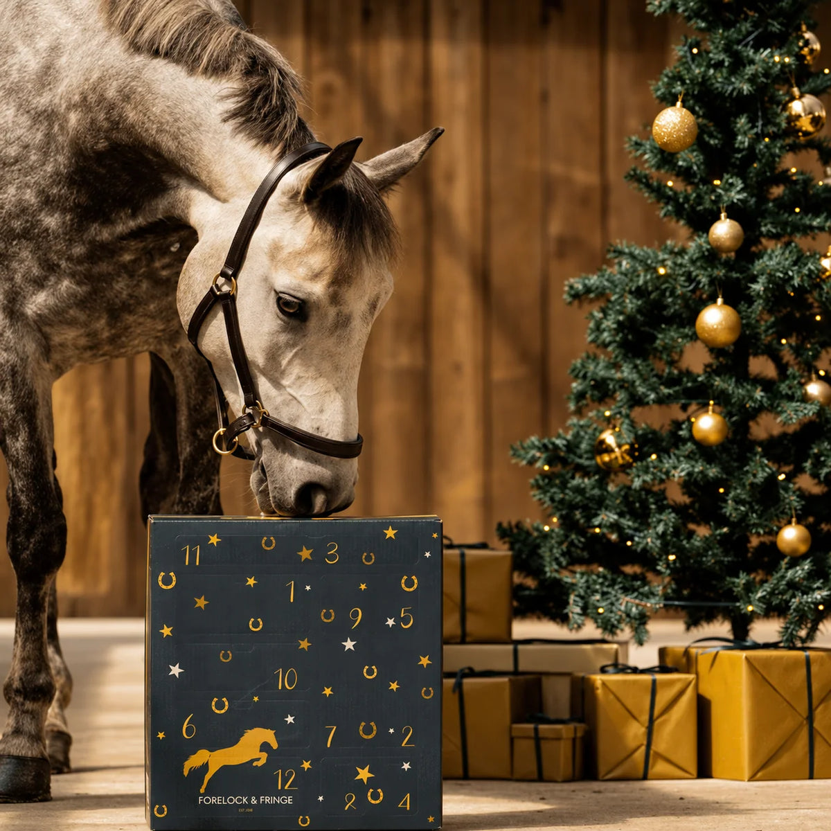 Horse Advent Calendar 24-Day Grooming & Equestrian Accessories