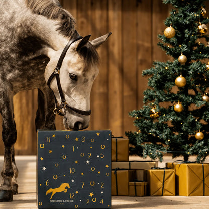 Horse Advent Calendar 24-Day Grooming & Equestrian Accessories