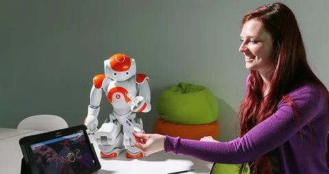 Humanoid Robot 25-Axis Movement Multilingual Voice Recognition Dual HD Cameras