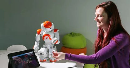 Humanoid Robot 25-Axis Movement Multilingual Voice Recognition Dual HD Cameras