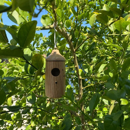 Hummingbird Birdhouse Weather-Resistant Resin Hanging Design