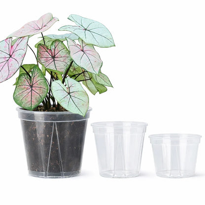 Indoor Plant Pot Clear Root-Viewing With Drainage Holes
