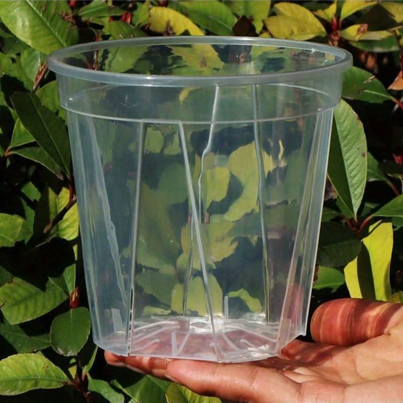 Indoor Plant Pot Clear Root-Viewing With Drainage Holes
