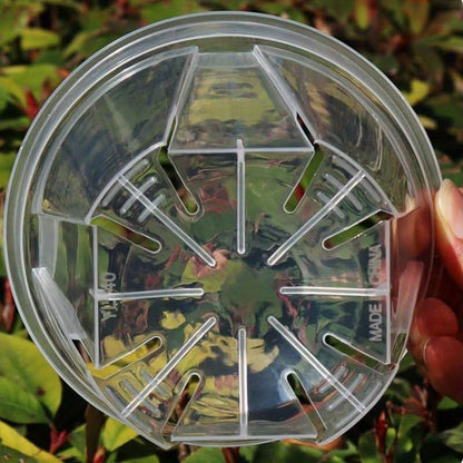Indoor Plant Pot Clear Root-Viewing With Drainage Holes