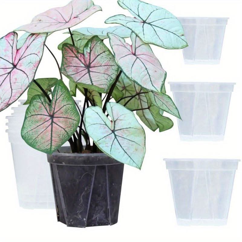 Indoor Plant Pot Clear Root-Viewing With Drainage Holes