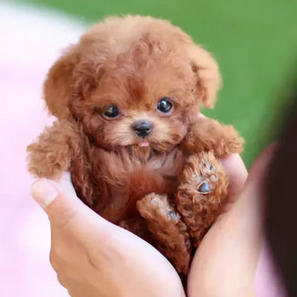 Interactive Plush Puppy Robotic Walking & Barking