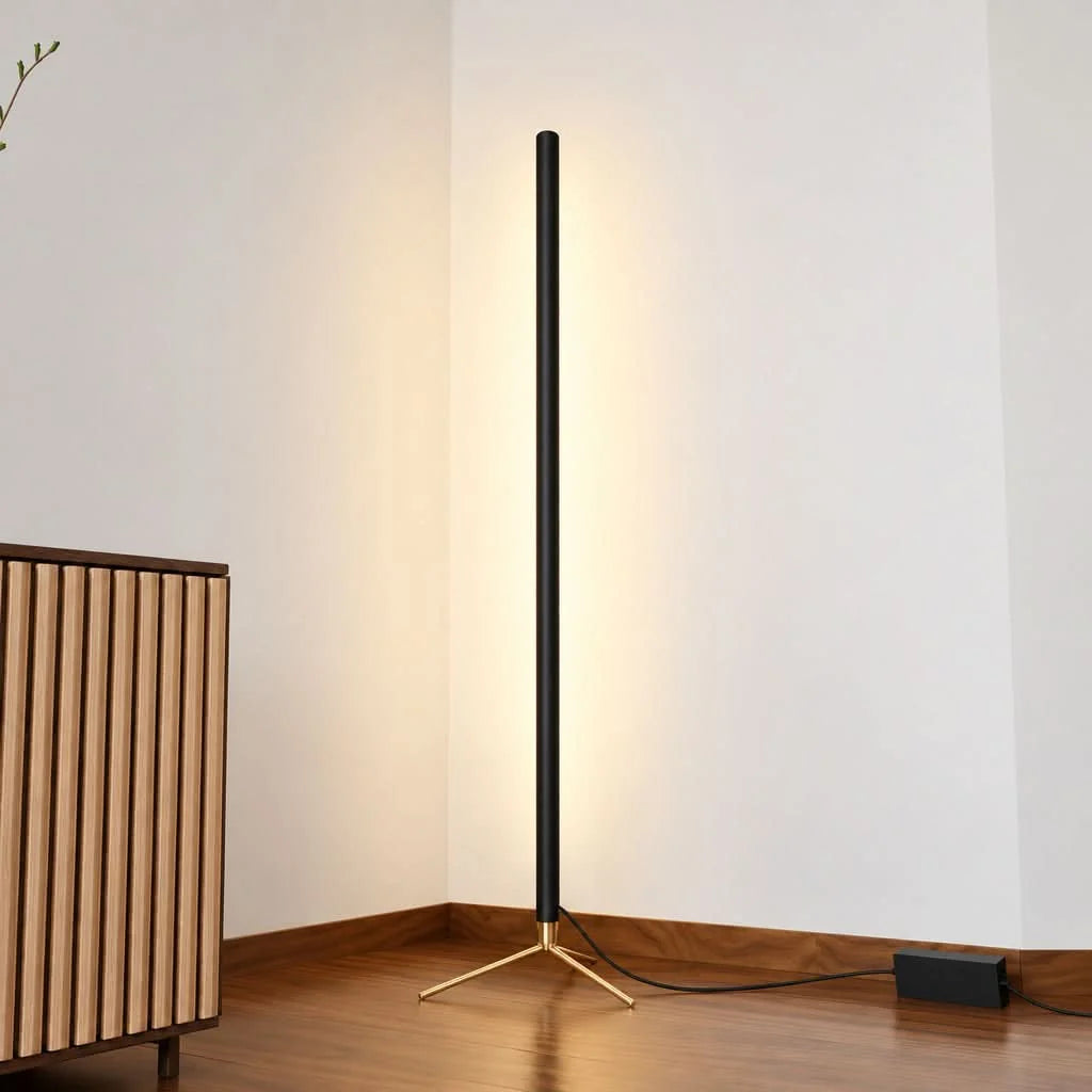 LED Floor Lamp Dimmable Color Temperature Remote Control