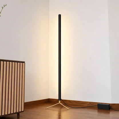 LED Floor Lamp Dimmable Color Temperature Remote Control