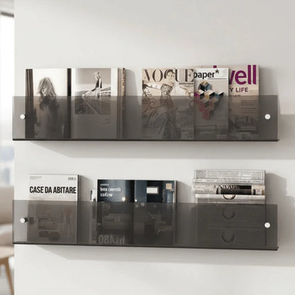 Magazine Holder Acrylic Wall-Mounted Space-Saving Storage