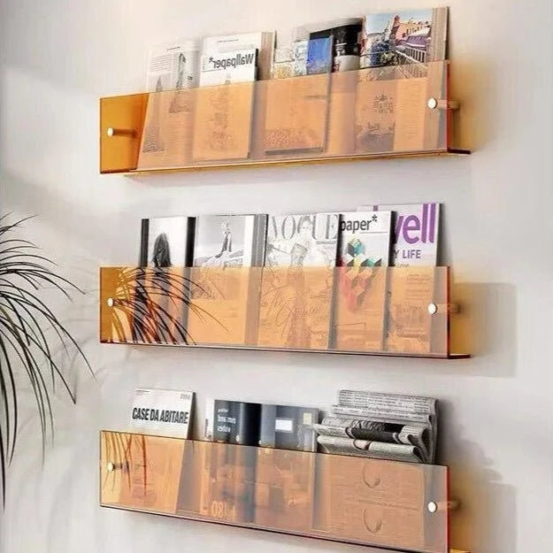 Magazine Holder Acrylic Wall-Mounted Space-Saving Storage