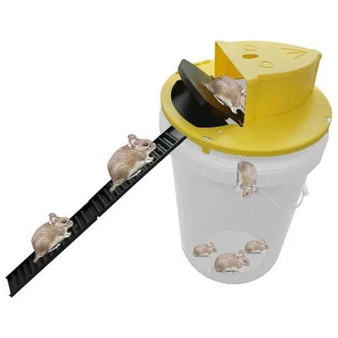 Mouse and Rat Bucket Trap Auto-Reset Fits 5-Gallon Bucket