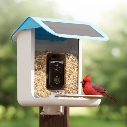 Outdoor Bird Feeder Camera Solar-Powered AI Bird ID