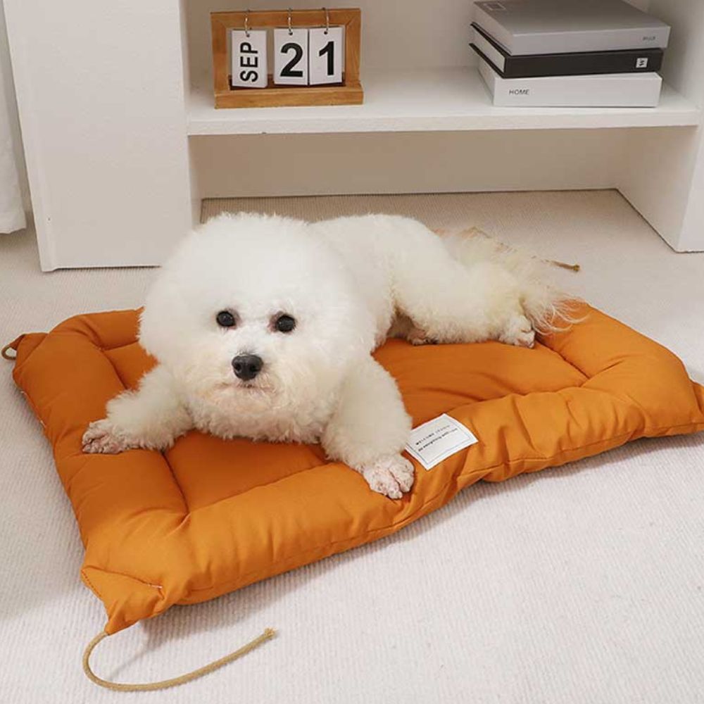 Pet Mat Microfiber Waterproof & Fur-Resistant