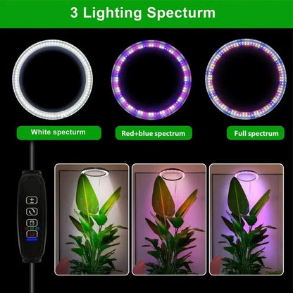 Plant Grow Light Full-Spectrum LED Adjustable Height Preset Timer