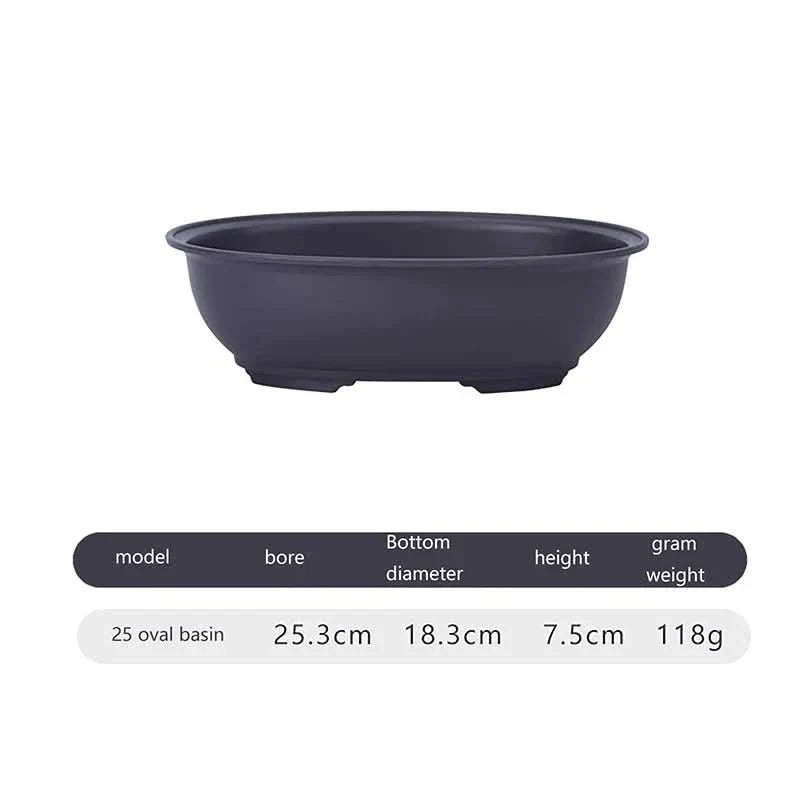 Plant Pot Breathable Design For Bonsai and Succulents