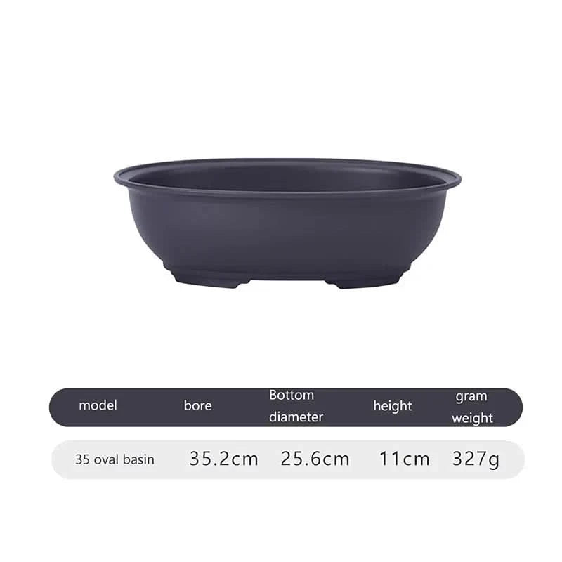 Plant Pot Breathable Design For Bonsai and Succulents