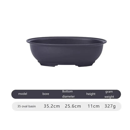 Plant Pot Breathable Design For Bonsai and Succulents