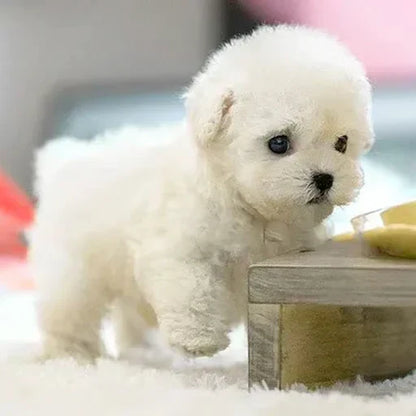 Robotic Puppy Toy Walking Barking & Sitting